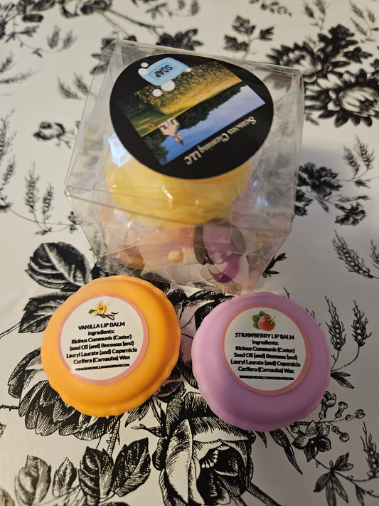 Macaroon Lip Balm – Moisturizing and Fruit Scented Lip Care