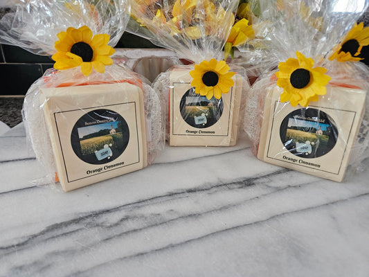 Orange Cinnamon Soap 4oz